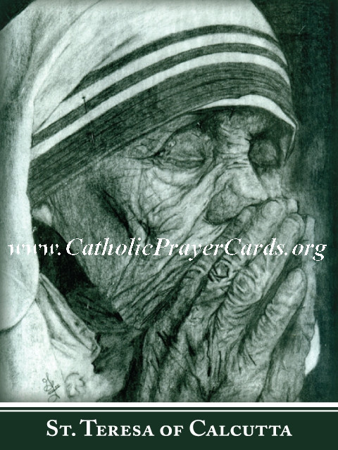 Special Limited Edition Mother Teresa Commemorative Collectors Series Canonization Holy Card 